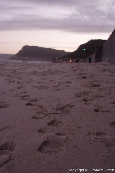 Beach footprints, St. James, False Bay coast