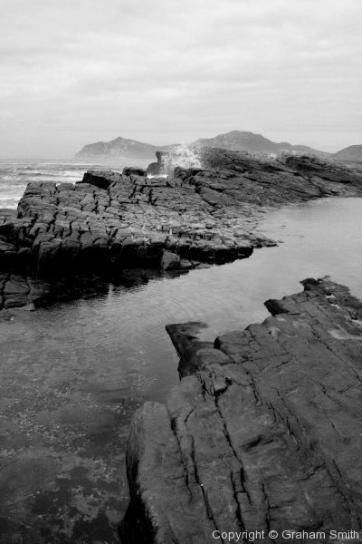 Cape Point Reserve - black and white