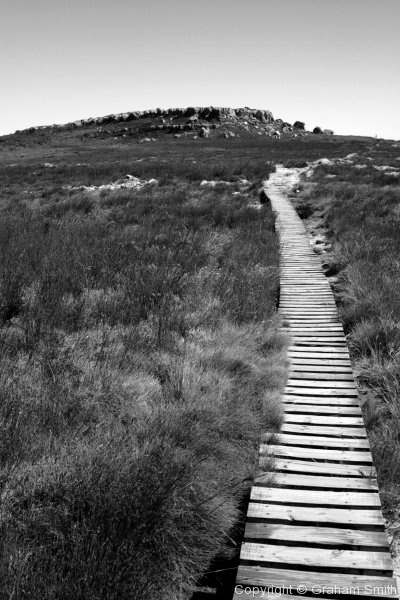 Table Mountain summit boardwalk - black and white